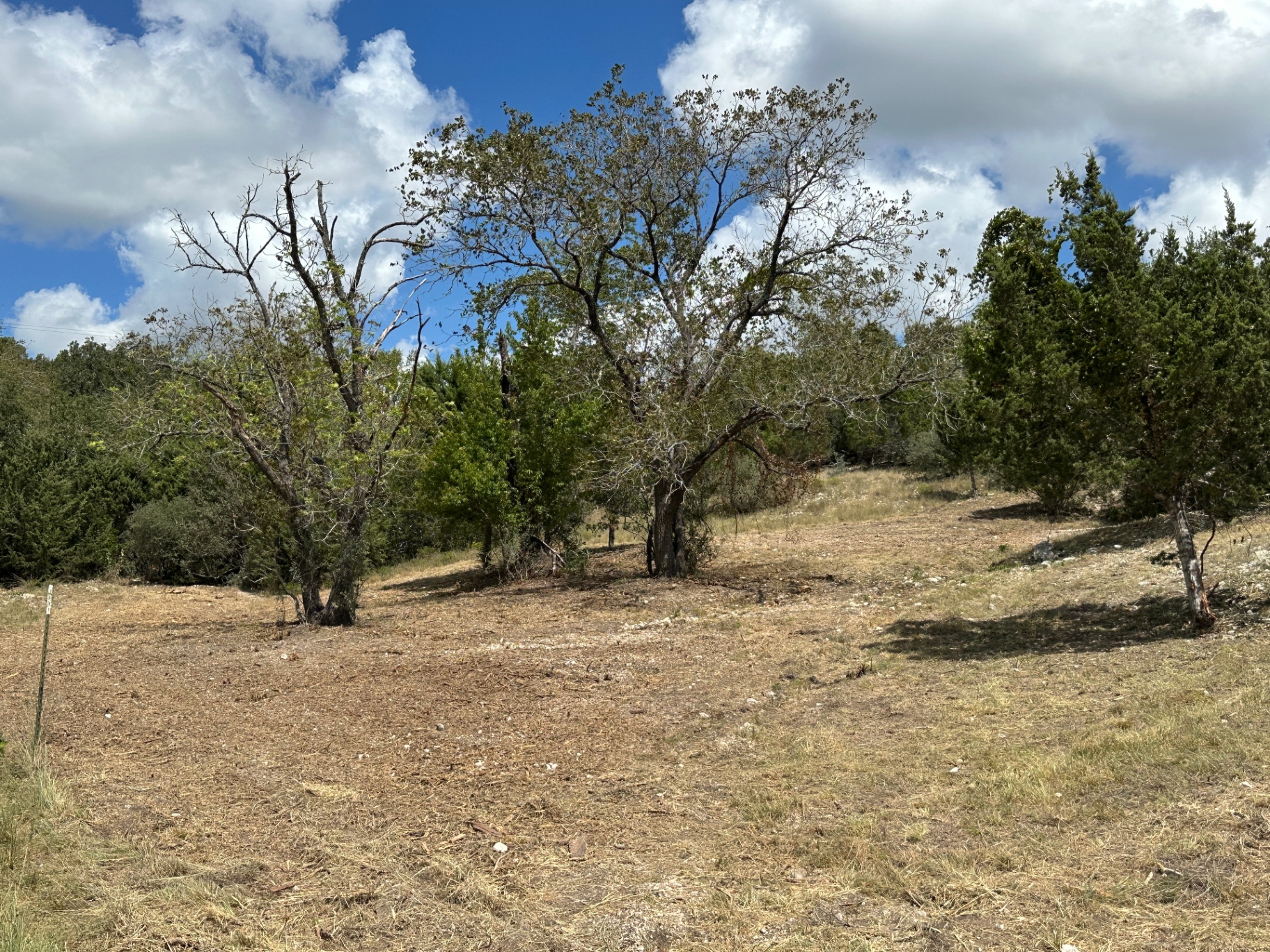 Opened Hill Country pasture after cedar and brush clearing