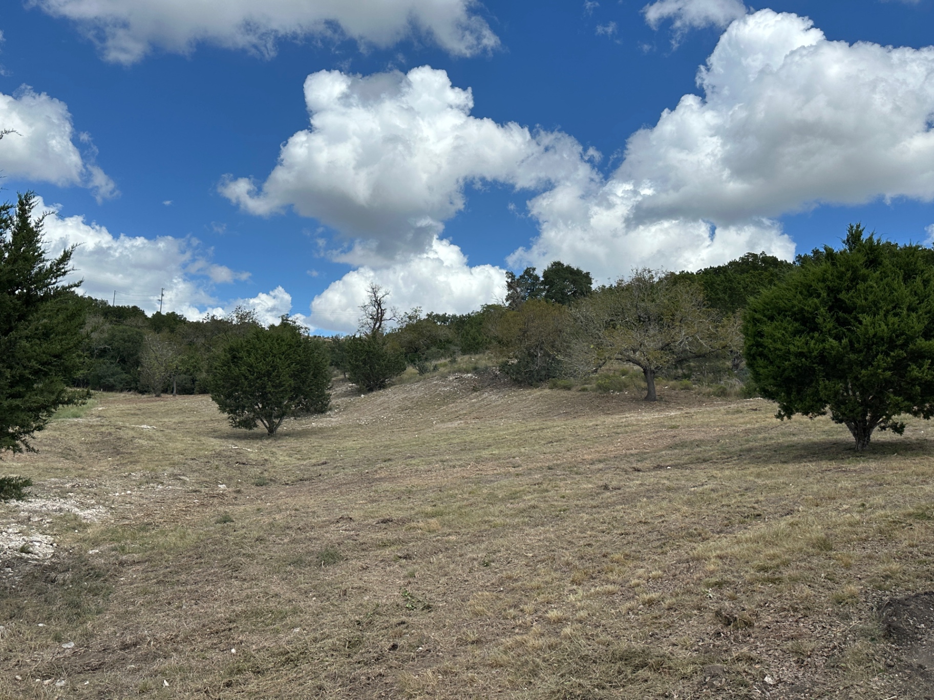 Cleared Hill Country hillside after pasture mowing and brush removal